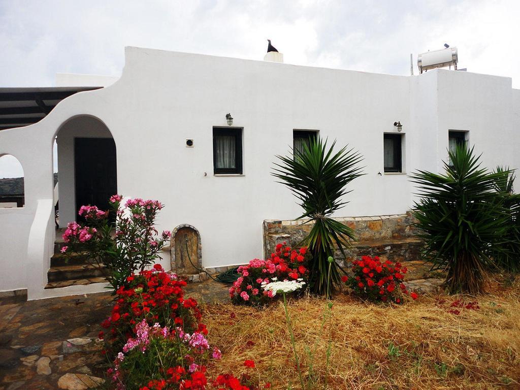 Thomas Apartments Katapola - Chora Zimmer foto